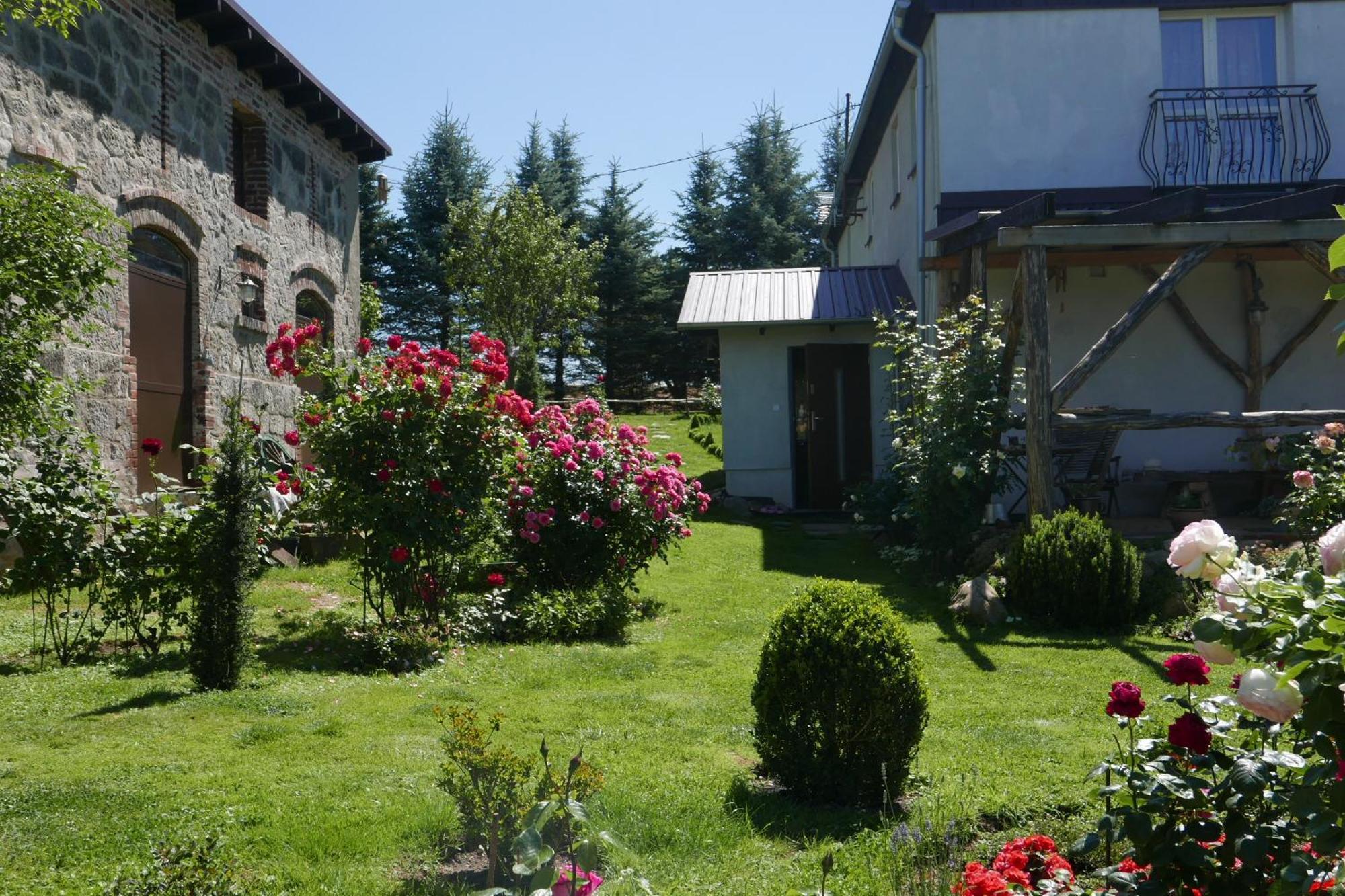 Roze I Jablonie Agroturystyka Gryfow Slaski Ngoại thất bức ảnh