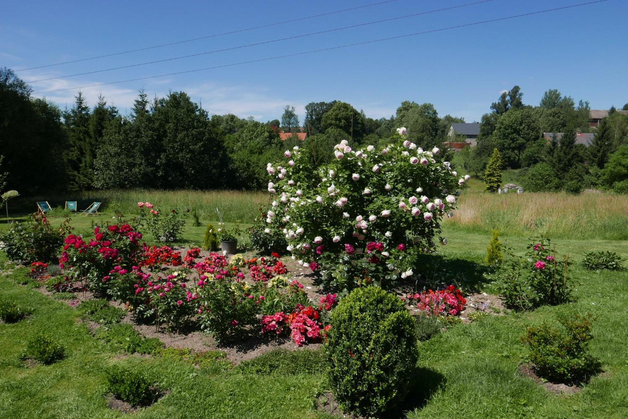 Roze I Jablonie Agroturystyka Gryfow Slaski Ngoại thất bức ảnh