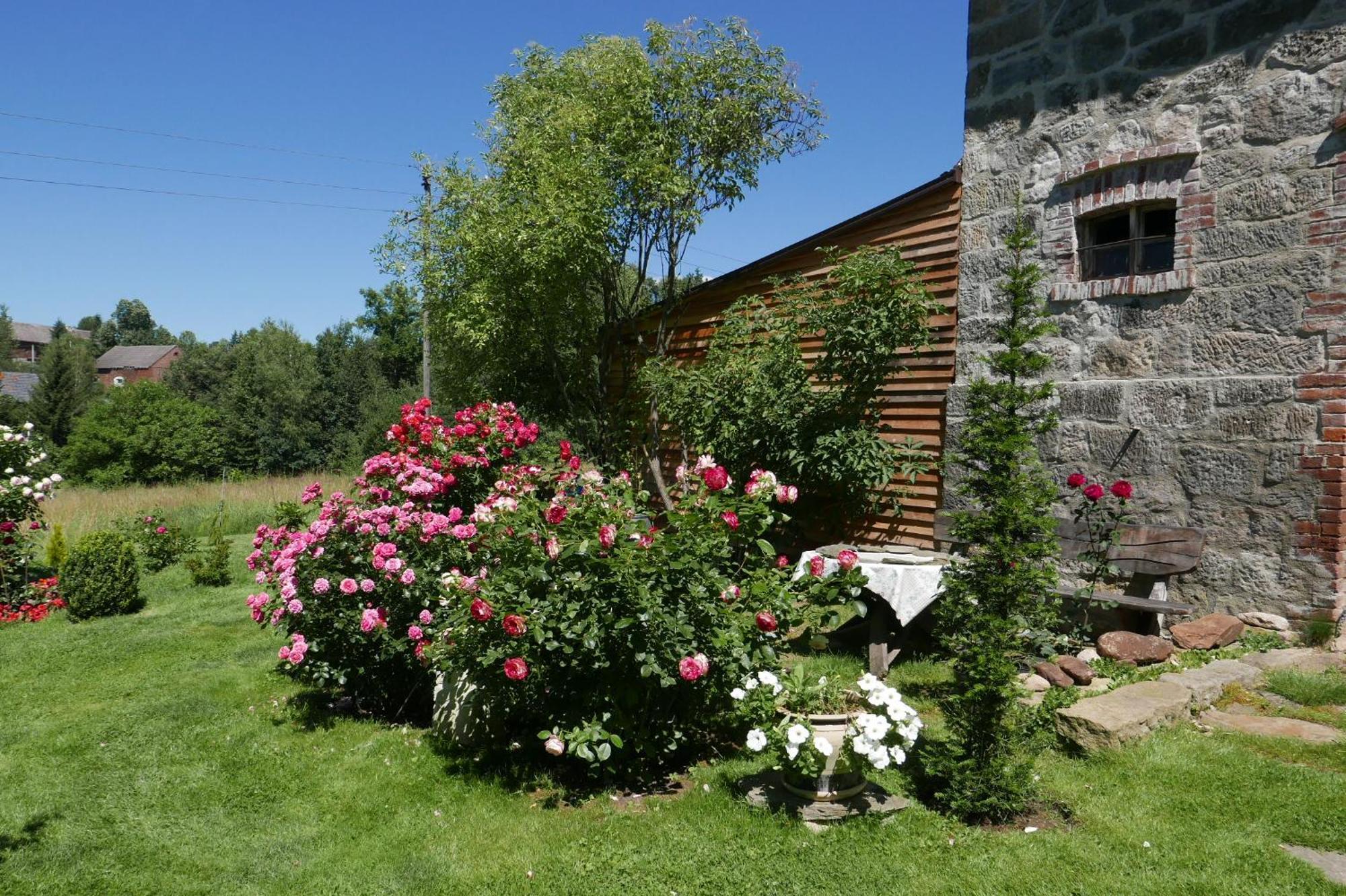 Roze I Jablonie Agroturystyka Gryfow Slaski Ngoại thất bức ảnh